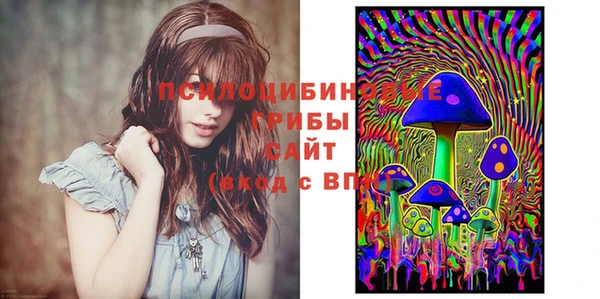 бутират Арсеньев