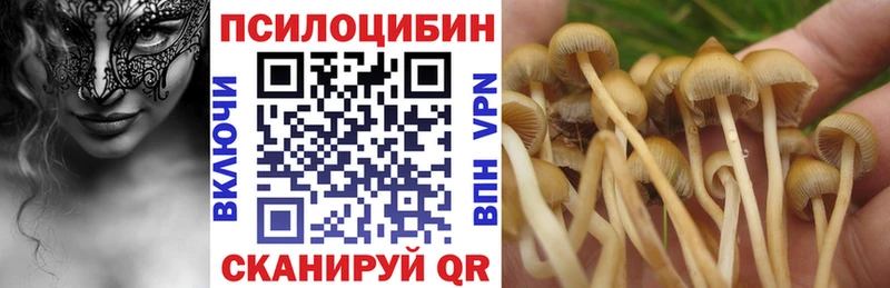 Галлюциногенные грибы прущие грибы Бакал
